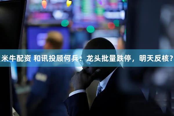 米牛配资 和讯投顾何兵：龙头批量跌停，明天反核？