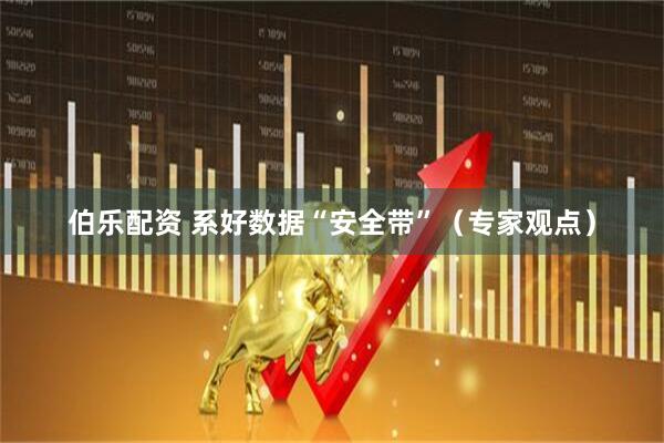 伯乐配资 系好数据“安全带”（专家观点）
