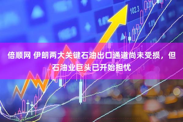 倍顺网 伊朗两大关键石油出口通道尚未受损，但石油业巨头已开始担忧