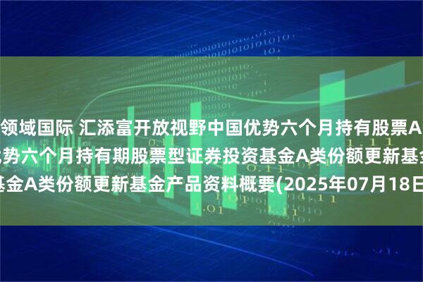 领域国际 汇添富开放视野中国优势六个月持有股票A: 汇添富开放视野中国优势六个月持有期股票型证券投资基金A类份额更新基金产品资料概要(2025年07月18日更新)