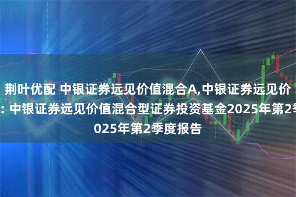 荆叶优配 中银证券远见价值混合A,中银证券远见价值混合C: 中银证券远见价值混合型证券投资基金2025年第2季度报告